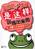 聪明的大脑是这样训练出来的 4-5岁左右脑智能开发