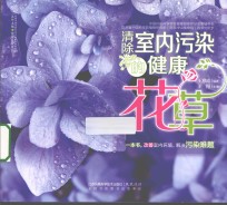 清除室内污染的健康花草 汉竹