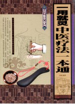 一用就灵 中医疗法一本通