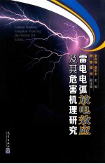 雷电电弧放电效应及其危害机理研究