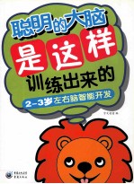 聪明的大脑是这样训练出来的 2-3岁左右脑智能开发