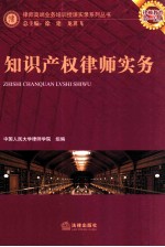 知识产权律师实务