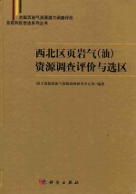 西北区页岩气(油)资源调查评价与选区