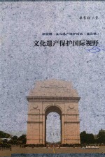 新视野·文化遗产保护论丛 文化遗产保护国际视野