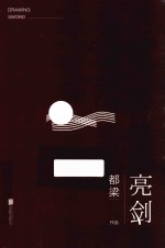 亮剑 舒适阅读版