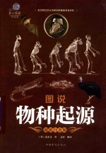 图说物种起源 全彩白金版