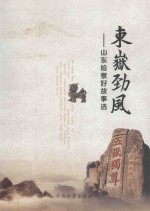 东岳劲风 山东检察好故事选