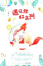 独家宠爱系列 1 遇见你好高兴 励志梦想青春小说 言情小说 爱情小说
