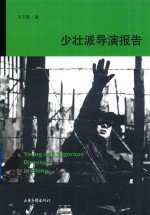 少壮派导演报告
