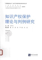 知识产权保护理论与判例研究