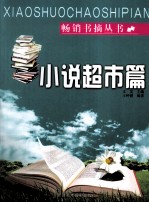 畅销书摘丛书 小说超市篇