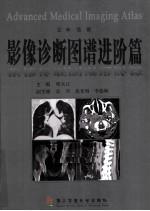 影像诊断图谱 进阶篇