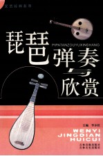 琵琶弹奏与欣赏