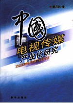 中国电视传媒产业化研究