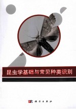 昆虫学基础与常见种类识别