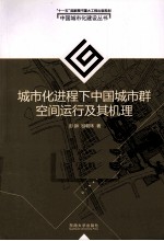 城市化进程下中国城市群空间运行及其机理
