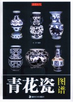 读图时代 青花瓷图谱