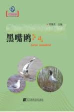 黑嘴鸥 辽宁省优秀自然科学著作