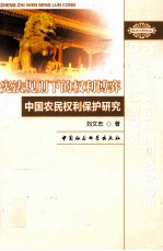 宪法规则下的权利博弈 中国农民权利保护研究