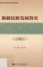 新疆民族发展简史 大字本