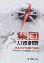 大集团人力资源管理 中央企业管理提升实践