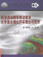 复杂油藏物理法、物理-化学复合法强化开采理论与技术丛书 低渗透油藏低频谐振波化学复合强化开采理论与技术