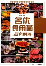 现代珍稀植物及食用菌图鉴系列 名优食用菌原色图鉴