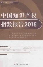 中国知识产权指数报告 2015