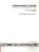 大跨度空间结构工程实践 CSWADI设计案例