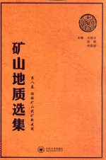 矿山地质选集 第8卷 铅锌矿山找矿新成就