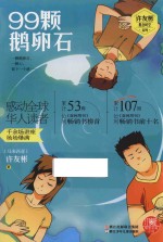 许友彬悬念时空系列 99颗鹅卵石