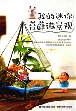 我的迷你苔藓微景观