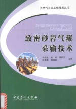 天然气开采工程技术丛书 致密砂岩气藏采输技术