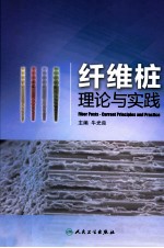 纤维桩理论与实践