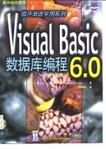 Visual Basic 6.0 数据库编程
