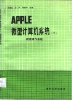 APPLE微型计算机系统 下 磁盘操作系统