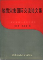 地质灾害国际交流论文集