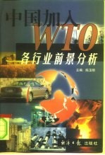 中国加入WTO各行业前景分析