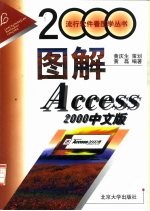 图解Access 2000中文版