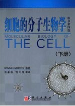 细胞的分子生物学 下 原书第4版