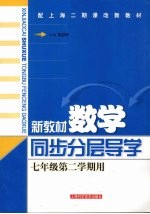 新教材数学 同步·分层·导学 七年级 第二学期用