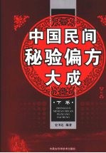 中国民间秘验偏方大成 下 修订版