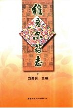维吾尔药志 下