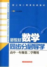 新教材数学 同步·分层·导学 高中一年级 第二学期用