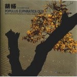 胡杨 王汉冰摄影作品集