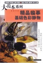 精品临摹基础色彩静物