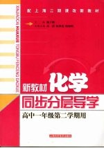 新教材化学同步分层导学 高中一年级 第二学期用