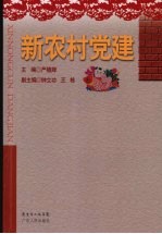 新农村党建