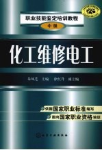 化工维修电工 中级