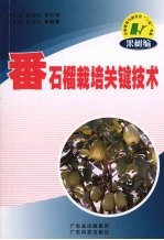 番石榴栽培关键技术